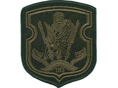 ШЕВРОН 38 ОМобБр