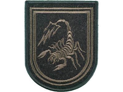 Шеврон 16 Полк РЭБ РБ Скорпион олива