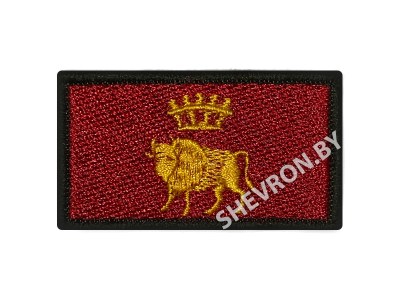 Шеврон Флаг с гербом Гродненской области 60 х 30 мм купить в shevron.by