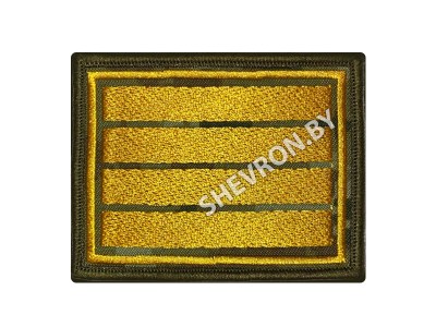 Шеврон (курсовка) 4 КУРС пограничный