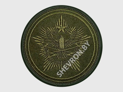 Шеврон ЦКП ВВС и ПВО олива