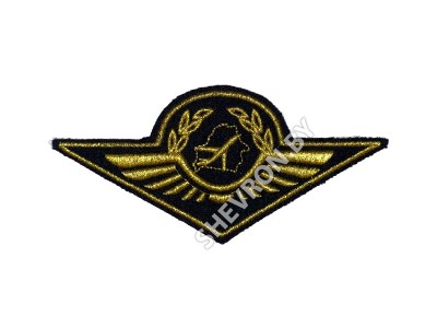 Кокарда Госкомавиация