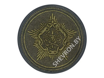 Шеврон Командование ВВС и ПВО олива