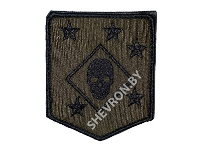 Вышитый шеврон  Морские рейдеры