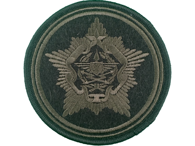 Шеврон Командование ВВС и ПВО олива