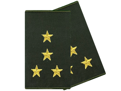 Муфты общевойсковые капитан вышитые оливковые