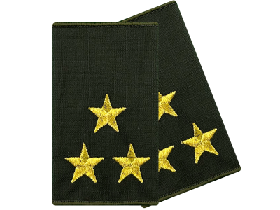 Муфты общевойсковые полковник вышитые оливковые